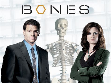 Bones